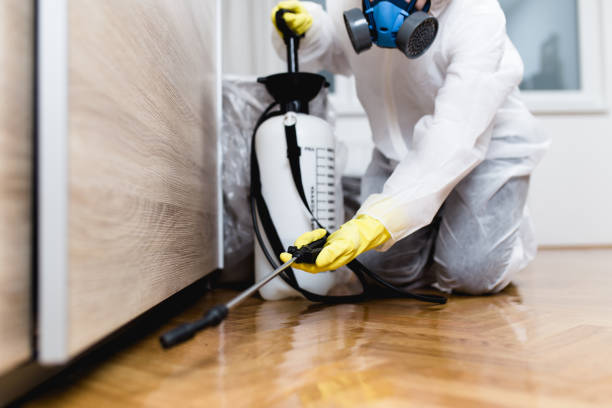 Insect Control in Finderne, NJ