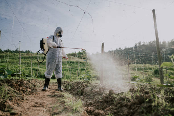 Best Pest Prevention Services  in Finderne, NJ