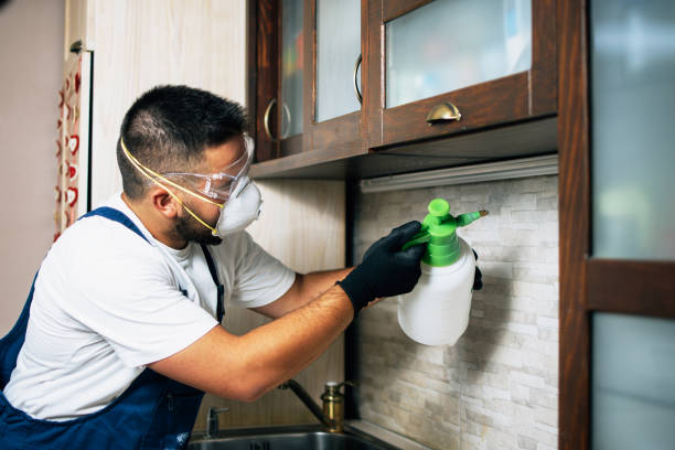 Best Affordable Pest Control Services  in Finderne, NJ