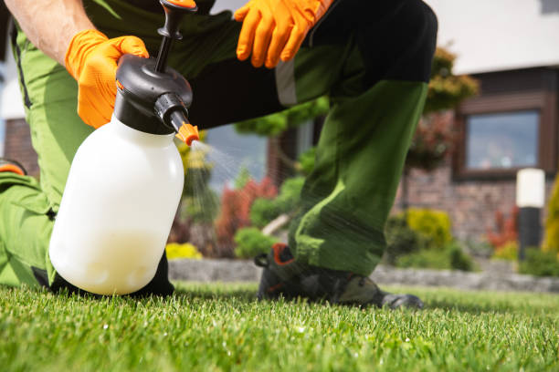 Pest Prevention Services in Finderne, NJ