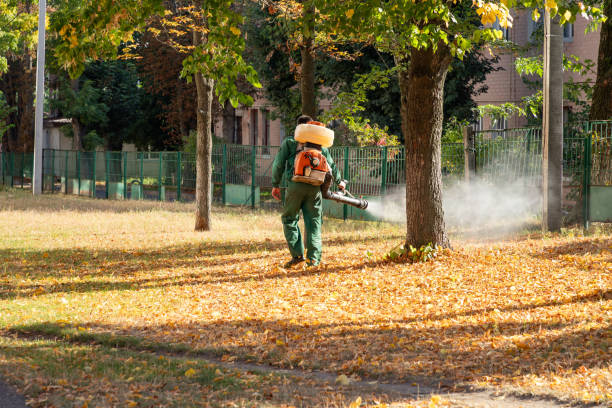 Best Pest Inspection Near Me  in Finderne, NJ