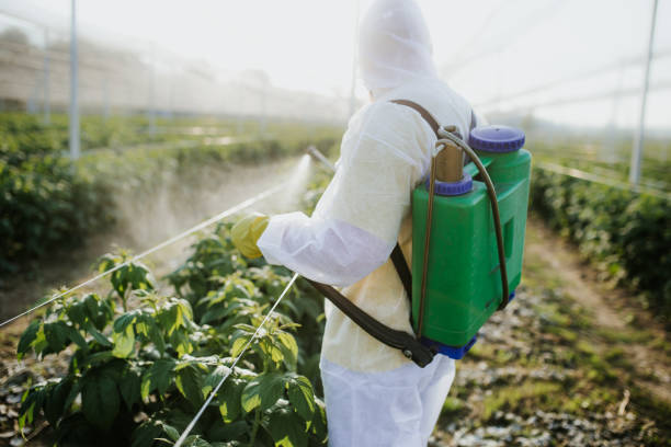 Best Pest Control Near Me  in Finderne, NJ